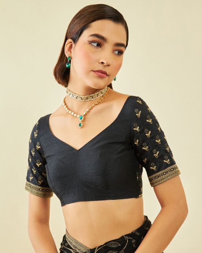 Embroidered Saree with Contrast Border - Image 4